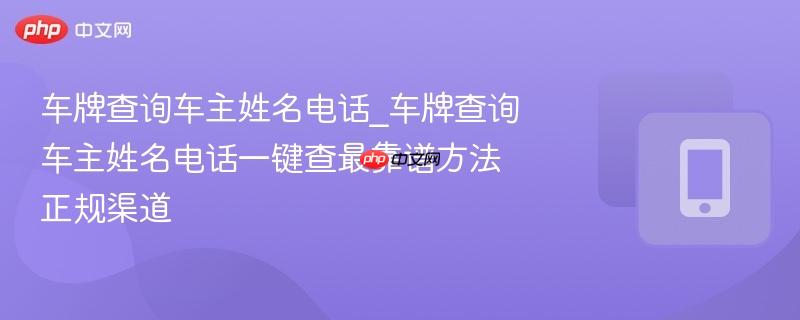 车牌查询车主姓名电话_车牌查询车主姓名电话一键查最靠谱方法正规渠道  第1张
