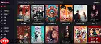 哪些视频网站能在线看  第3张