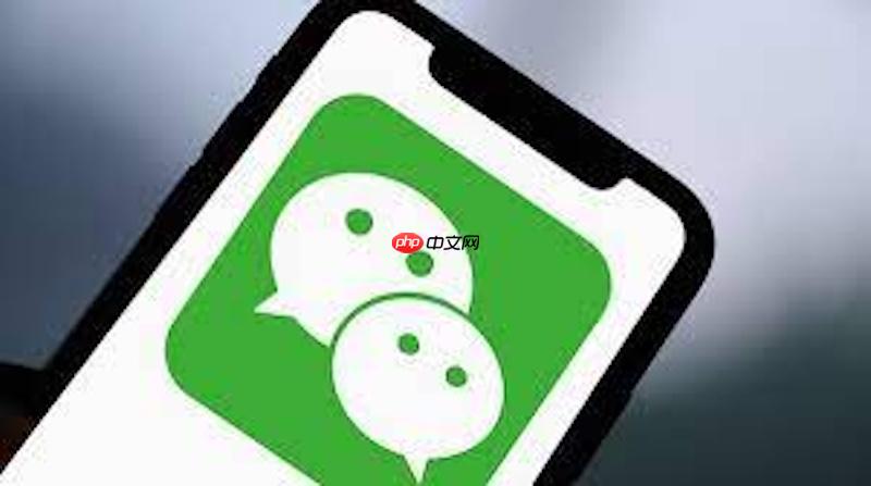 微信怎么只发文字朋友圈 微信纯文字朋友圈发布方法  第1张