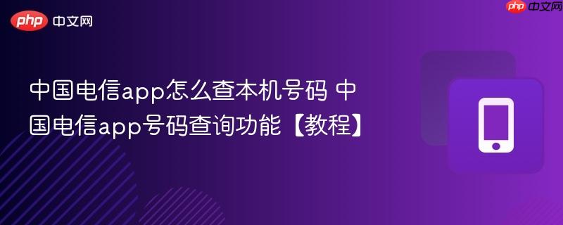 中国电信app怎么查本机号码 中国电信app号码查询功能【教程】  第1张