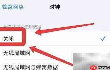 苹果手机关闭时钟网络权限方法  第3张