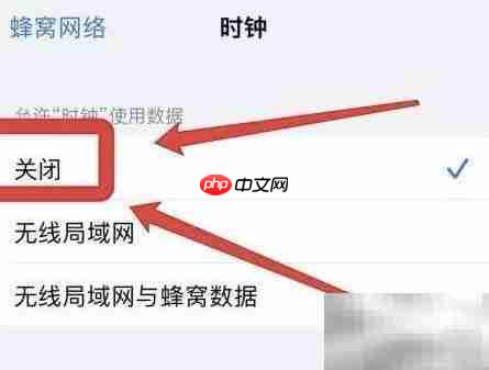苹果手机如何关闭时钟网络权限  第3张