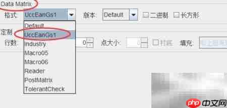 GS1 Data Matrix制作指南  第2张