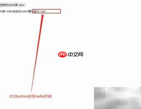 radio对象value属性用法解析  第6张