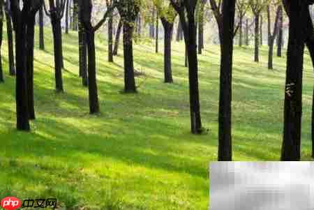 票据的五大功能解析  第2张