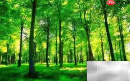 票据的五大功能解析  第1张