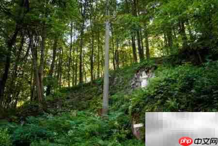 票据的五大功能解析  第4张