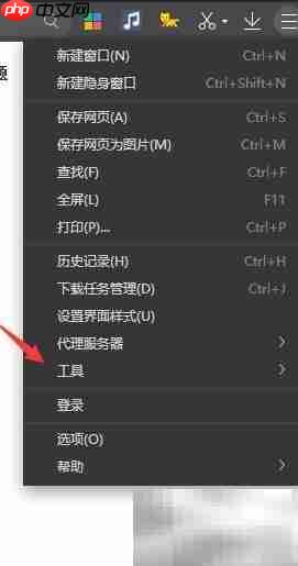 360极速浏览器开发者工具入口  第4张