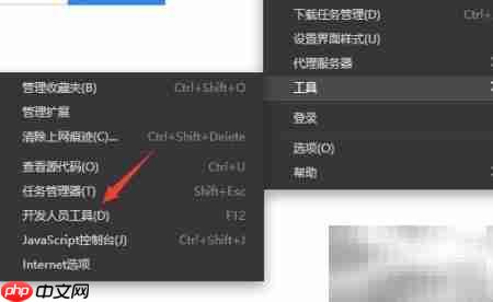 360极速浏览器开发者工具入口  第5张