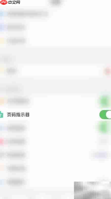 启用PDF Pro页码指示器  第3张