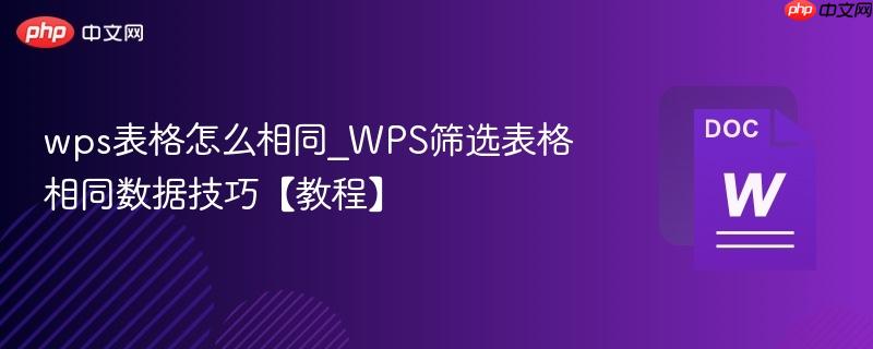 wps表格怎么相同_WPS筛选表格相同数据技巧【教程】  第1张