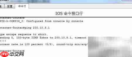 Packet Tracer配置NAPT指南  第4张