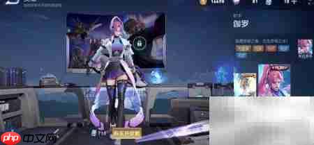 天狼系列皮肤英雄一览  第3张