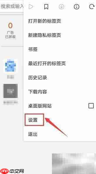 Brave浏览器开启简化视图方法  第1张
