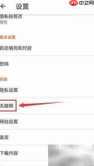 Brave浏览器开启简化视图方法  第2张
