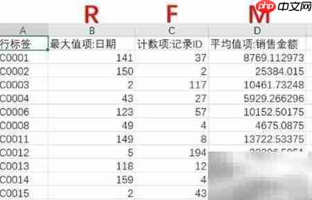 RFM模型会员细分管理  第9张