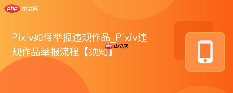 Pixiv如何举报违规作品_Pixiv违规作品举报流程【须知】  第1张