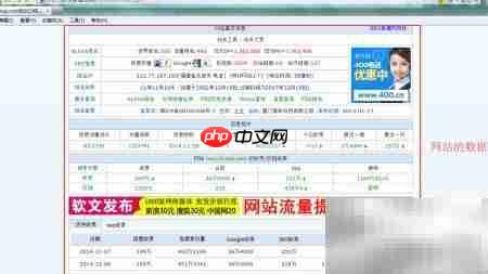 站长工具使用与数据解析 第4张 站长工具使用与数据解析 第4张