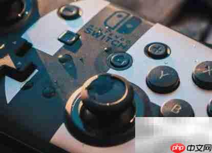 Switch手柄使用与评测  第1张
