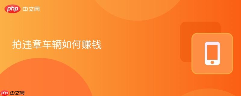 拍违章车辆如何赚钱  第1张