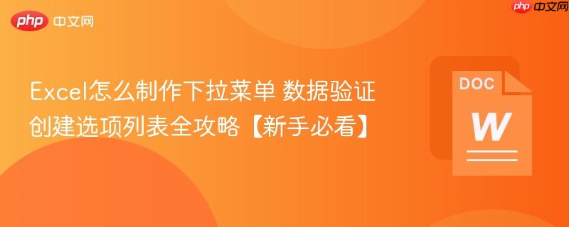 Excel怎么制作下拉菜单 数据验证创建选项列表全攻略【新手必看】  第1张