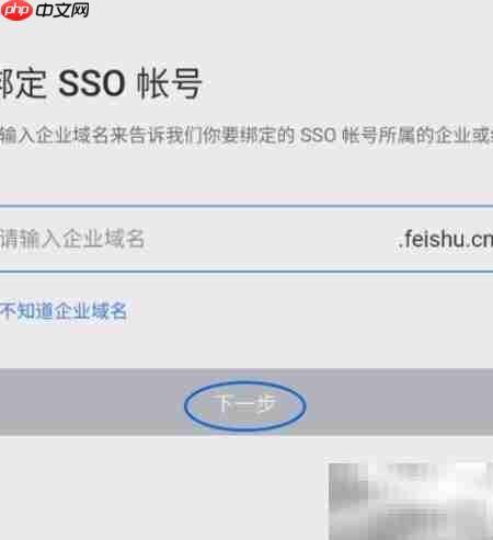 飞书绑定SSO账号指南  第4张