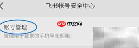 飞书绑定SSO账号指南  第3张