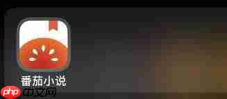 番茄小说如何注册作者号  第2张