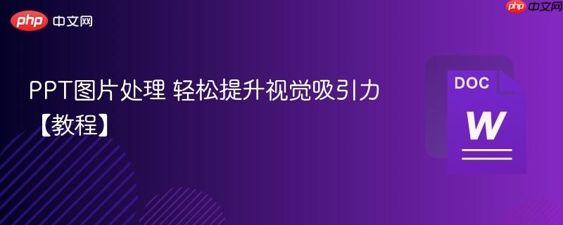 PPT图片处理 轻松提升视觉吸引力【教程】  第1张