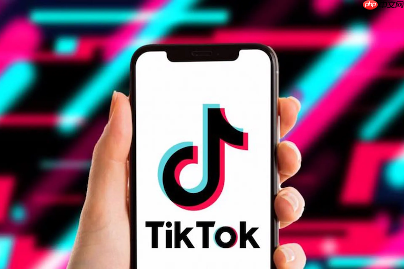TikTok视频播放中音频异常怎么办 TikTok音频播放优化方法  第1张