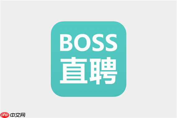 BOSS直聘在线求职招聘 BOSS直聘官网网页登录  第1张