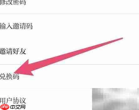 中国蓝新闻兑换码使用指南  第2张