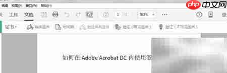 Adobe Acrobat DC数字签名使用指南  第3张