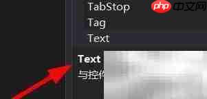 ElementHost文本属性设置技巧 第3张 ElementHost文本属性设置技巧 第3张