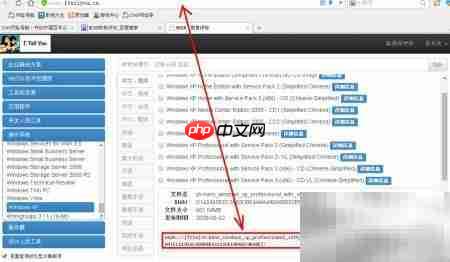 U盘安装WinXP专业版教程  第9张