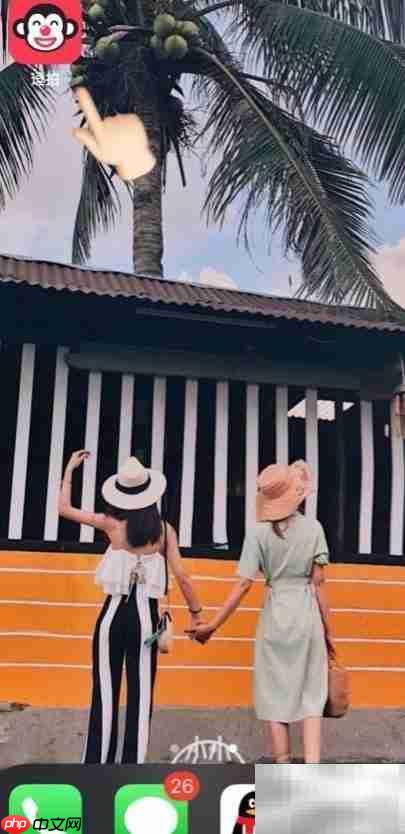 抖音海鸥特效制作教程 第1张 抖音海鸥特效制作教程 第1张