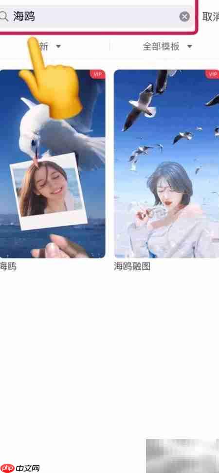 抖音海鸥特效制作教程 第3张 抖音海鸥特效制作教程 第3张