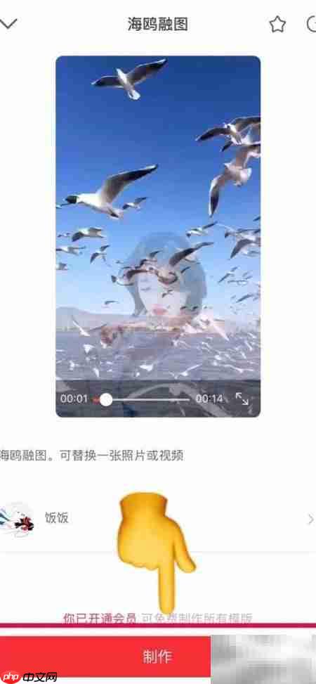 抖音海鸥特效制作教程 第4张 抖音海鸥特效制作教程 第4张