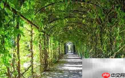 在家高效上网课的实用技巧  第4张