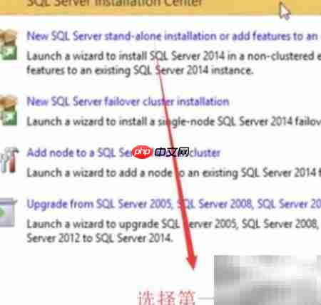 SQL Server 2014安装DQS指南  第2张