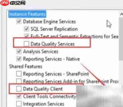 SQL Server 2014安装DQS指南  第3张