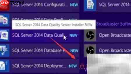 SQL Server 2014安装DQS指南  第5张