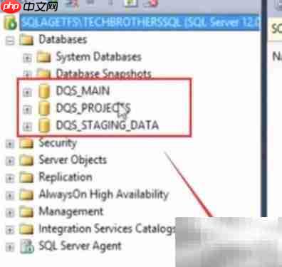 SQL Server 2014安装DQS指南  第8张