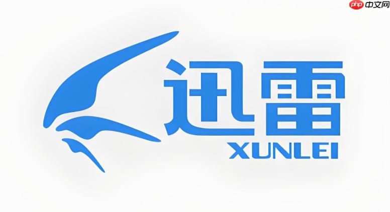 迅雷极速版网页入口 迅雷在线登录平台  第1张