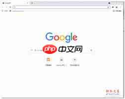 如何开启谷歌浏览器安全模式  第2张