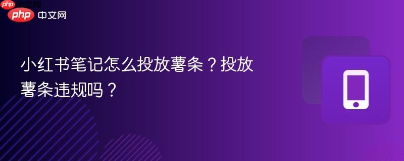 小红书笔记怎么投放薯条？投放薯条违规吗？  第1张