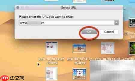 Snappy for Mac使用设置指南  第16张