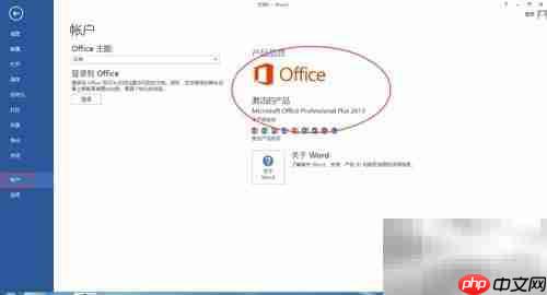 OFFICE2013安装与激活指南  第16张