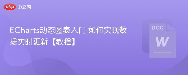 ECharts动态图表入门 如何实现数据实时更新【教程】