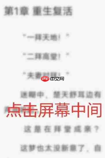 布袋鼠小说app怎么设置翻页模式-翻页模式设置入口  第1张